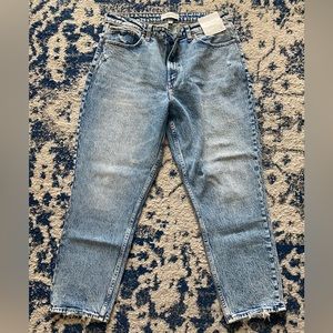 Abercrombie & Fitch Curve Love The Mom Jean - size 31/12R